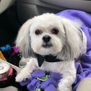 Meet your Posher, Darla